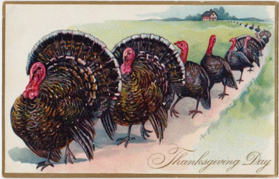 ThanksgivingTurkeys